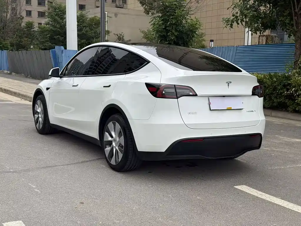 Tesla Model Y — миниатюра 8