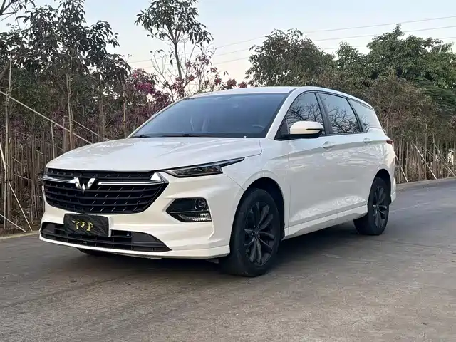 WULING WULING CAPGEMINI