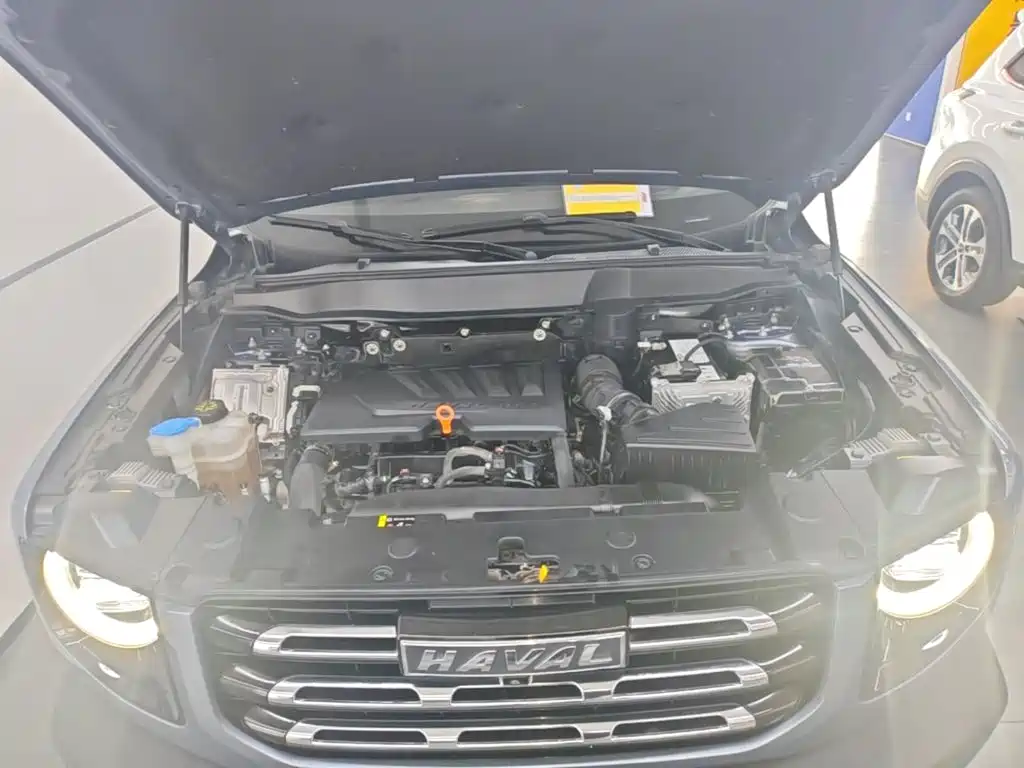 Haval Big Dog — миниатюра 20