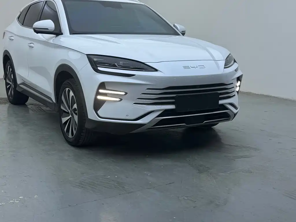 Byd PLUS New Energy 2024