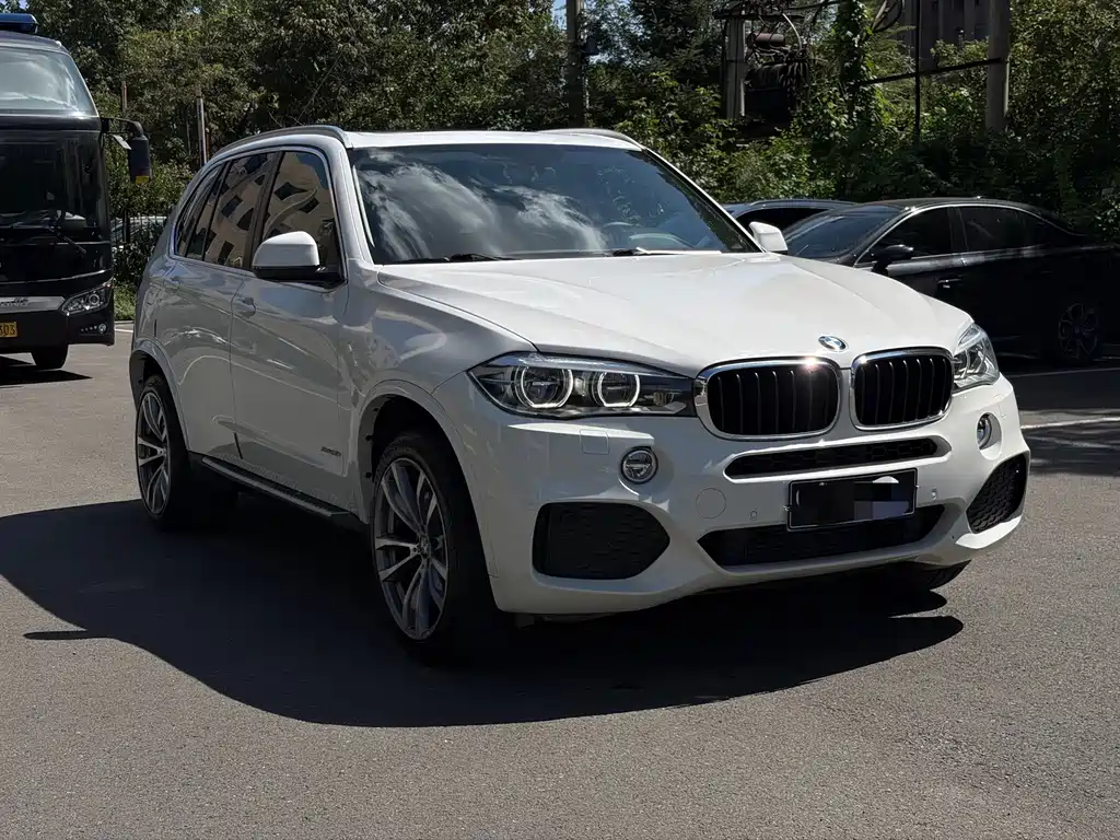 BMW X5 (Import) — миниатюра 3