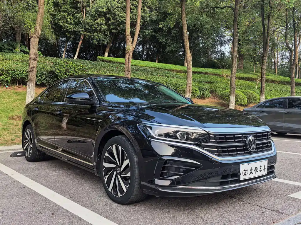 Volkswagen Passat — миниатюра 3