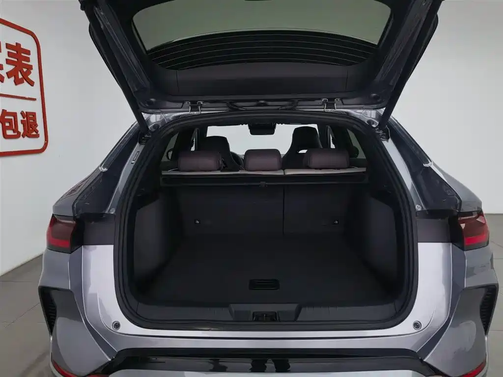 BYD SONGJIANG NEW ENERGY