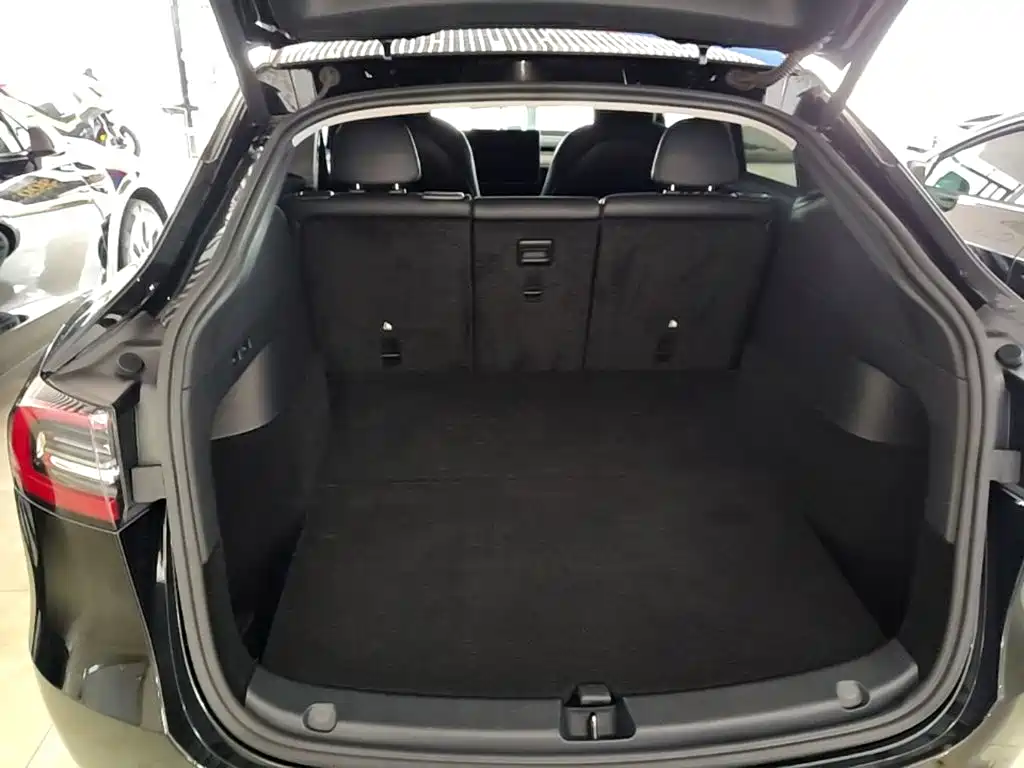 Tesla Model Y — миниатюра 19
