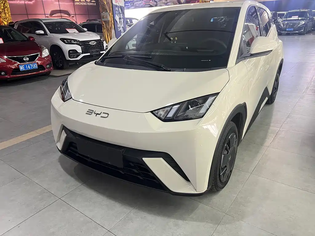 Byd Seagull 2024