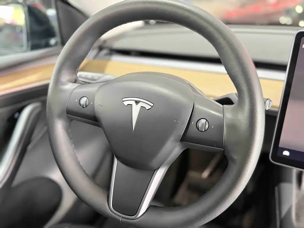 Tesla Model Y — миниатюра 16