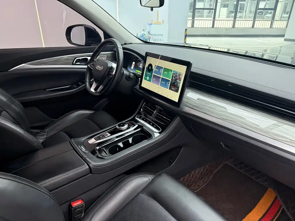Skyworth EV6 — миниатюра 7