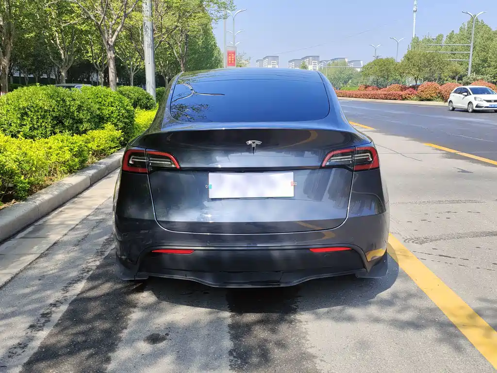 Tesla Model Y — миниатюра 8
