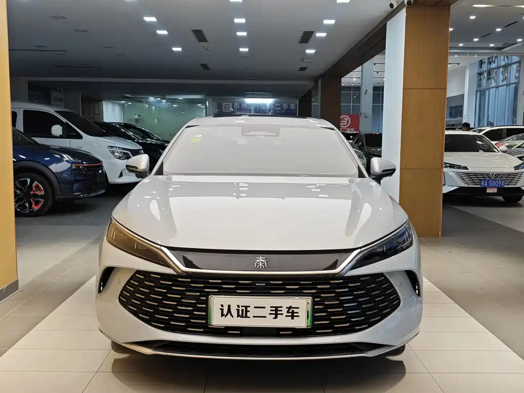 BYD QIN L