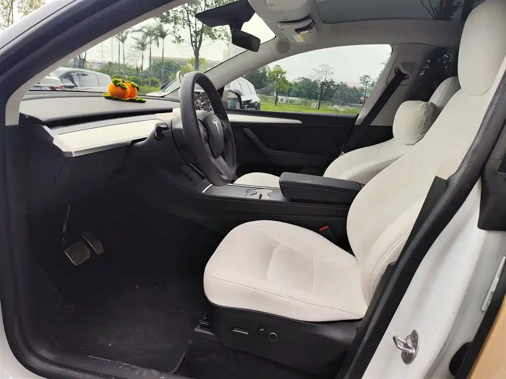 Tesla Model Y — миниатюра 6