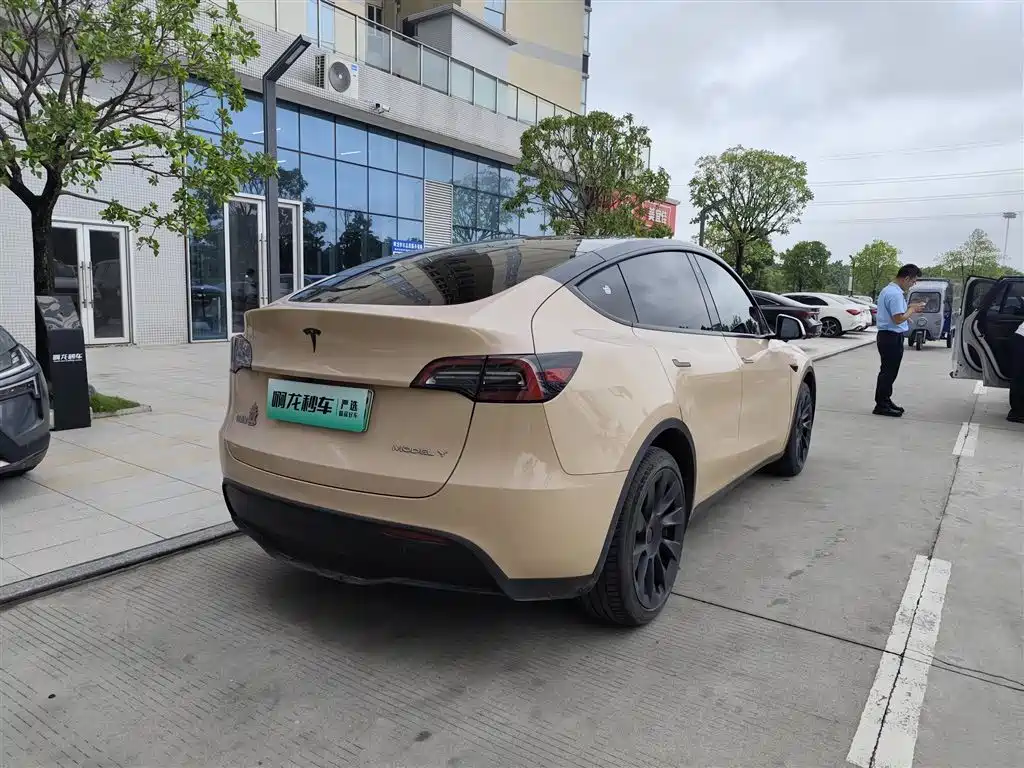 Tesla Model Y — миниатюра 9