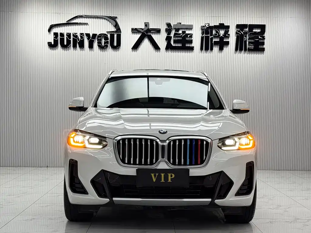 BMW X3 — миниатюра 2