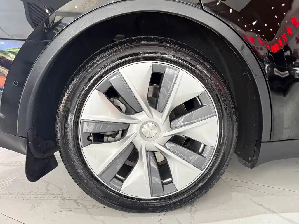 Tesla Model Y — миниатюра 15