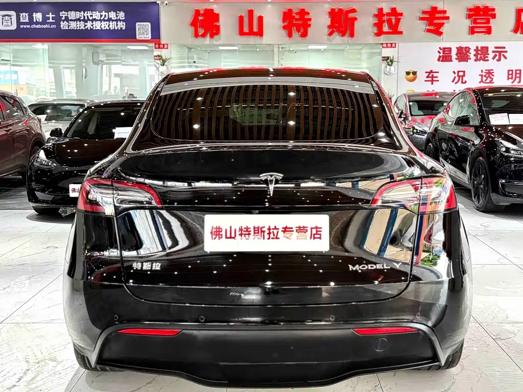 Tesla Model Y — миниатюра 6