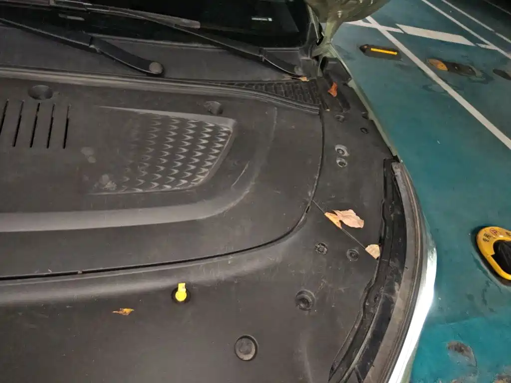 BYD Yuan Plus — миниатюра 19