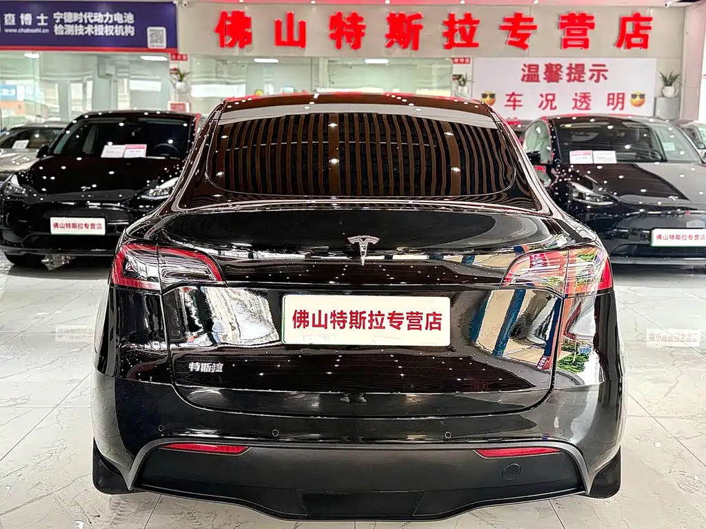 Tesla Model Y — миниатюра 6