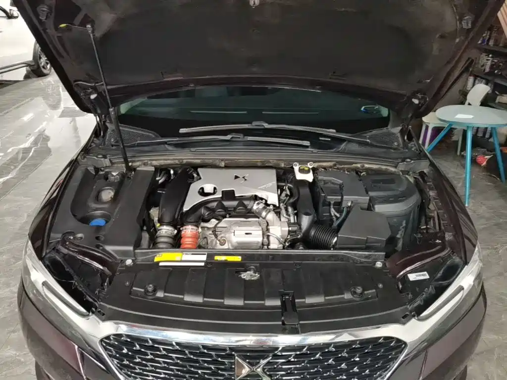 DS DS 5LS — миниатюра 20