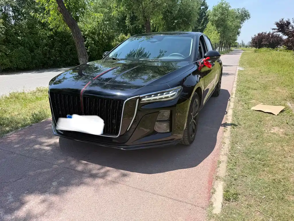 Hongqi Hongqi H5 2025