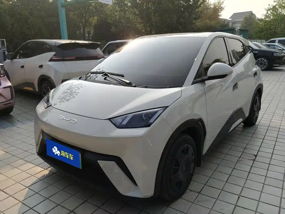 BYD Seagull