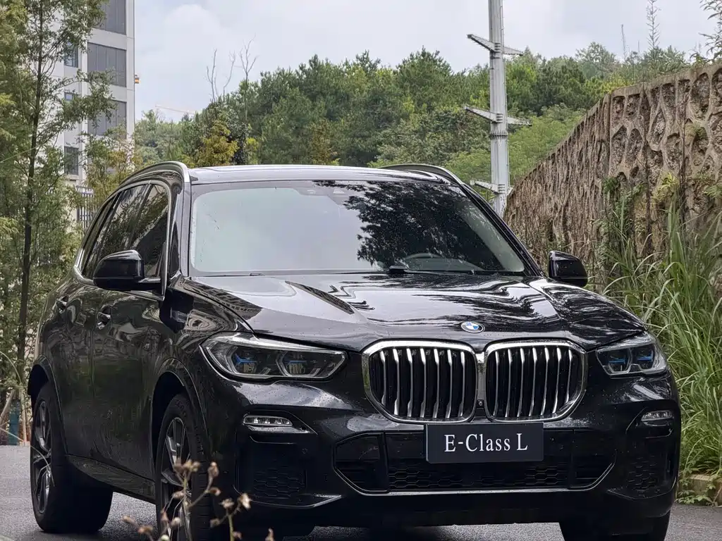 BMW X5 (Import) — миниатюра 3