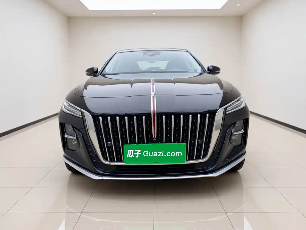 Hongqi Hongqi H5 — миниатюра 24
