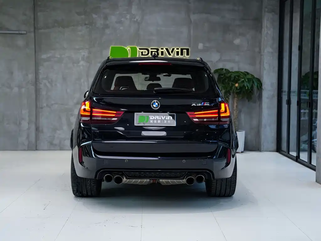 BMW X5 M — миниатюра 4
