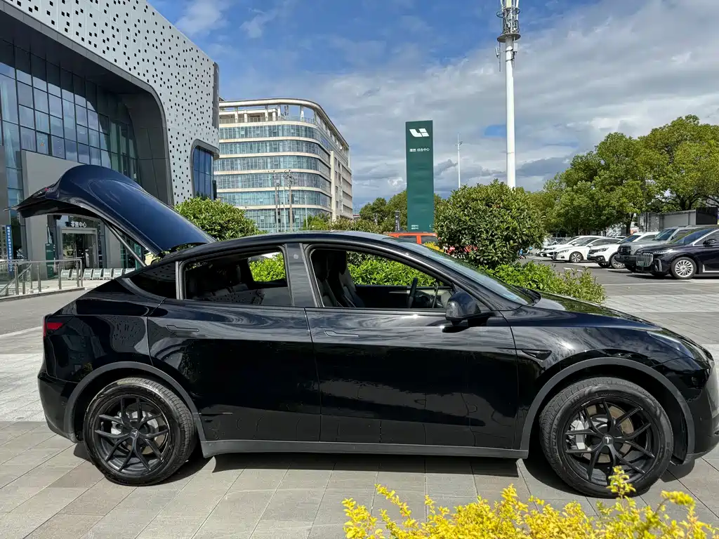 Tesla Model Y — фотографии объявления, Фото 11