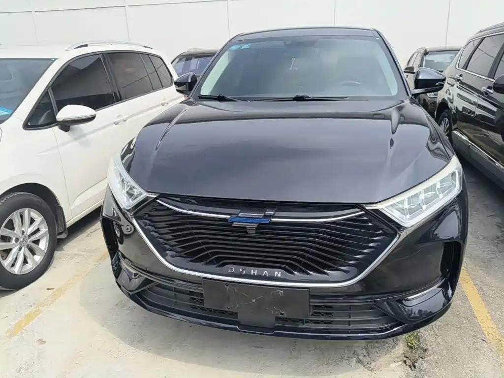 Oshan Oushang X7 — миниатюра 3
