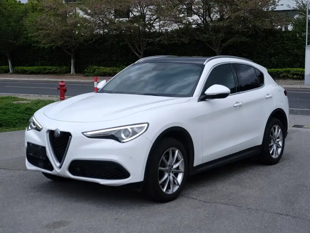 Alfa Romeo Stelvio 2.0T 200HP Luxury Edition, фото 3