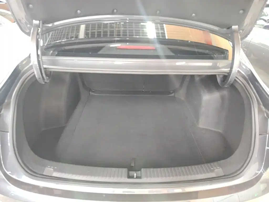 Roewe Young Wai D6 — миниатюра 19