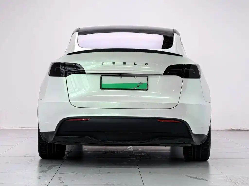 Tesla Model Y — миниатюра 4