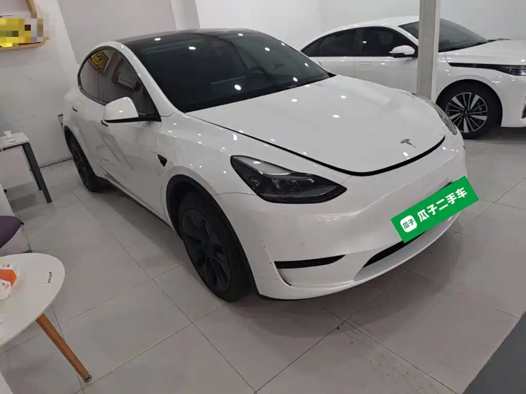 Tesla Model Y — миниатюра 4