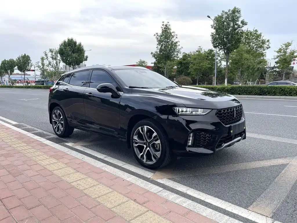 Wey Wey VV7 — миниатюра 3