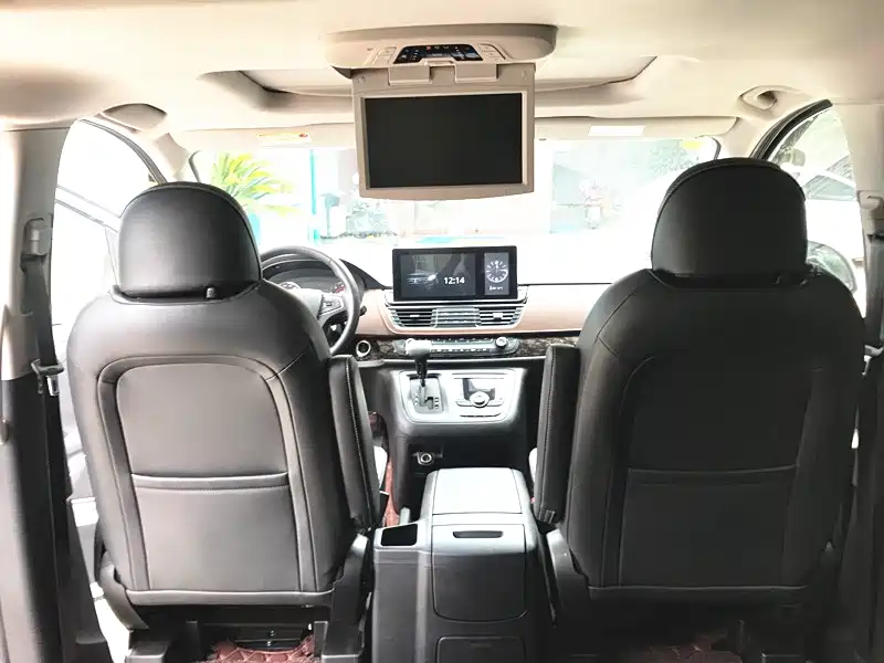 SAIC MAXUS CHASE G10