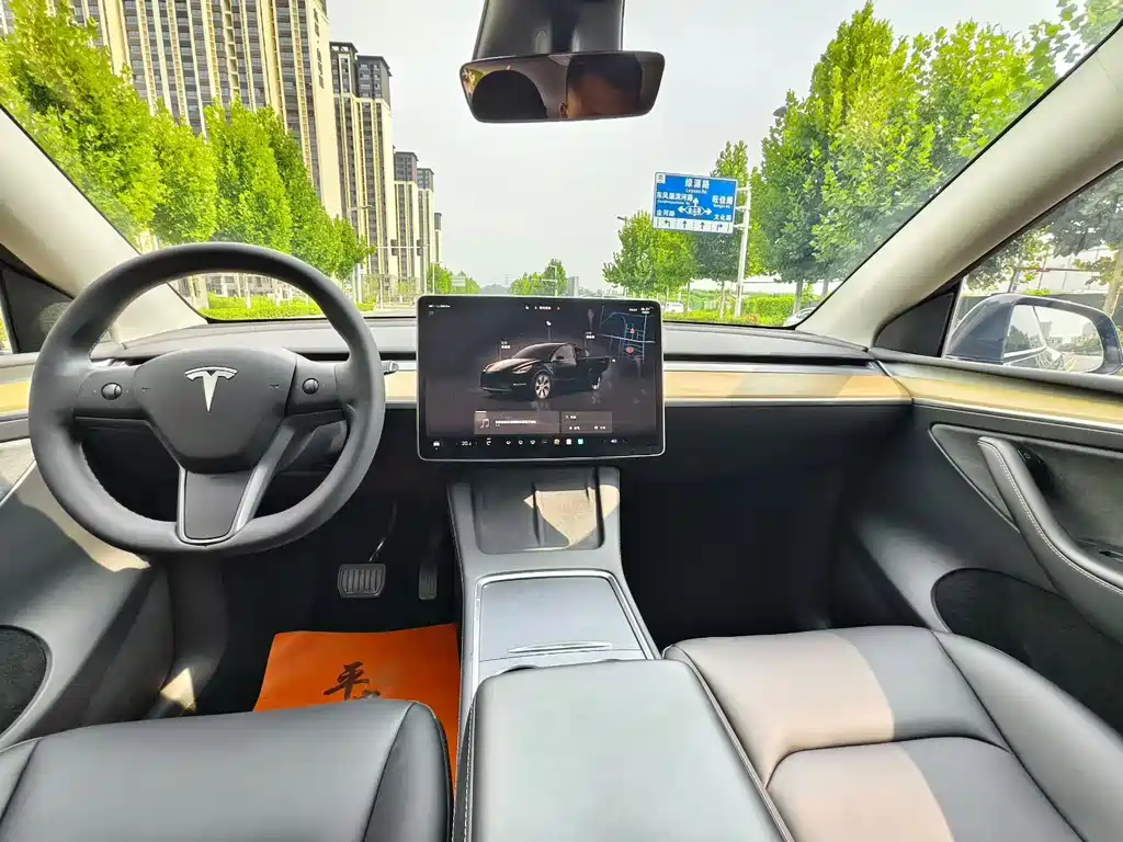 Tesla Model Y — миниатюра 4
