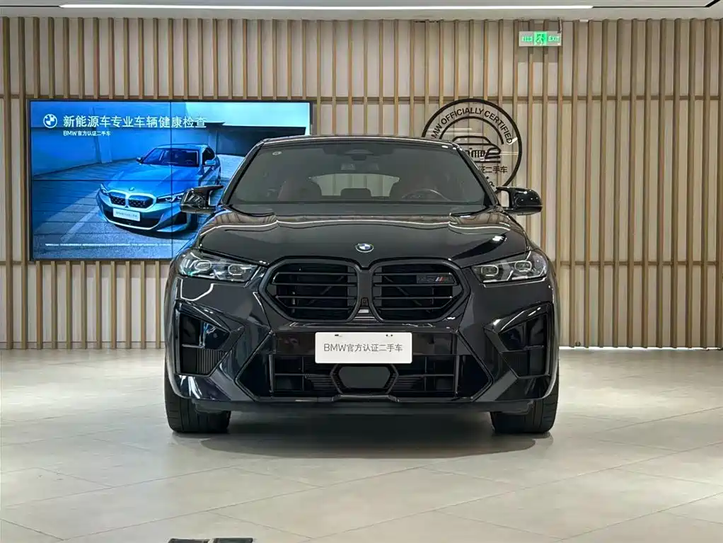 BMW X6 M — миниатюра 6