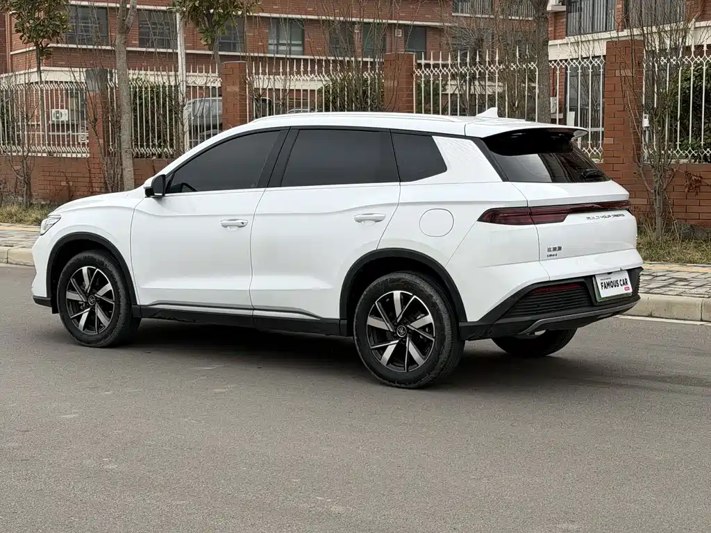 BYD SONGJIANG NEW ENERGY