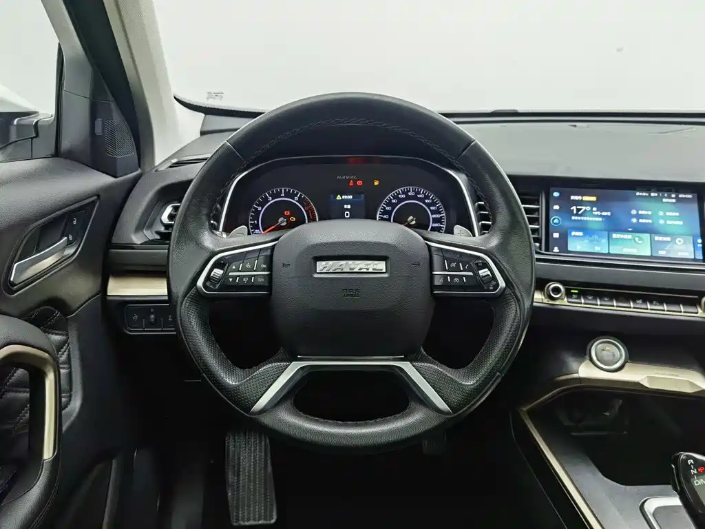 Haval H6 — миниатюра 11