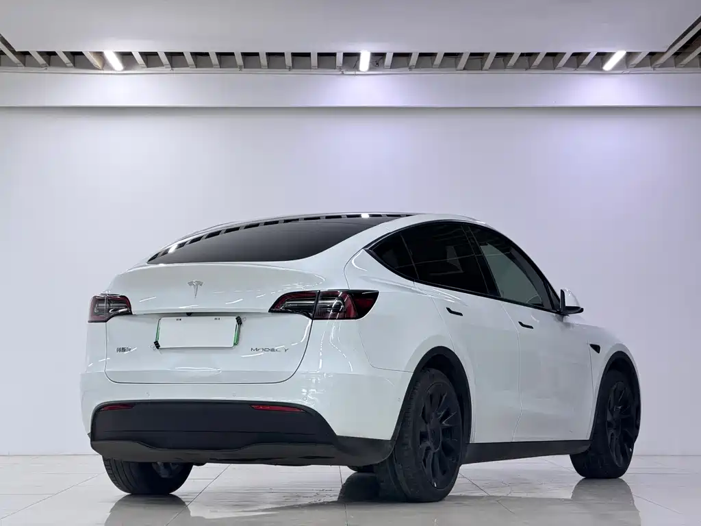 Tesla Model Y — миниатюра 11