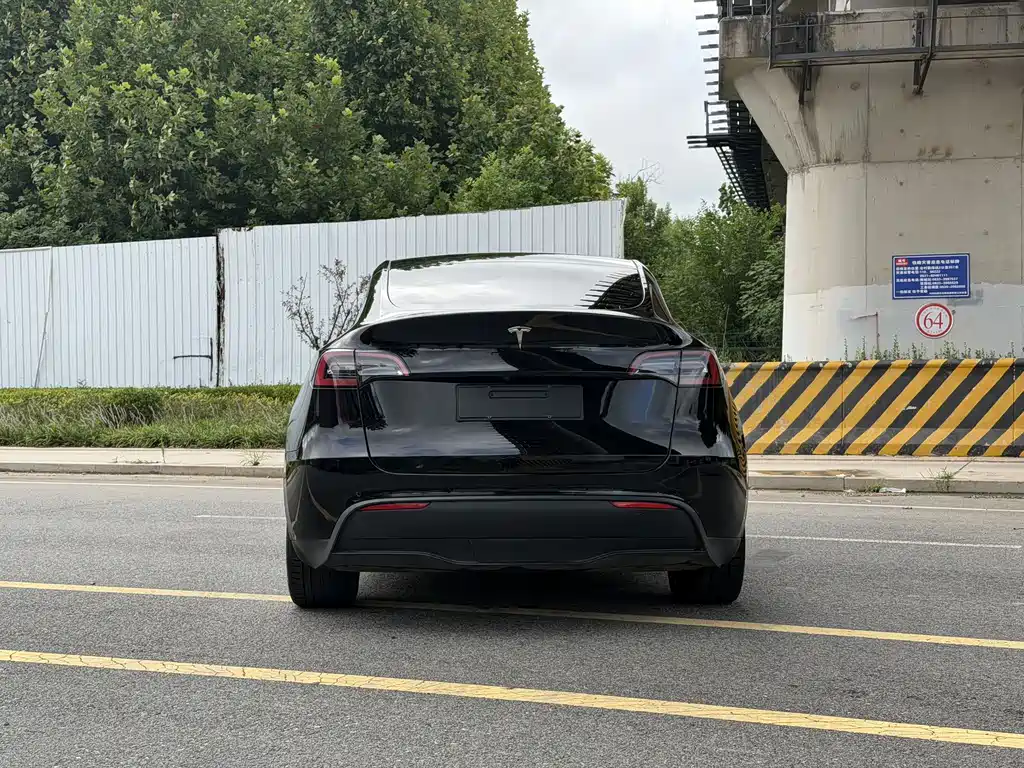 Tesla Model Y — миниатюра 8