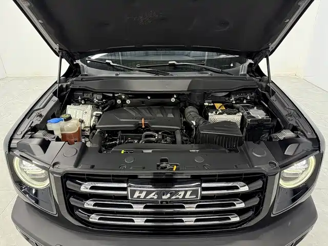 Haval Big Dog — миниатюра 10