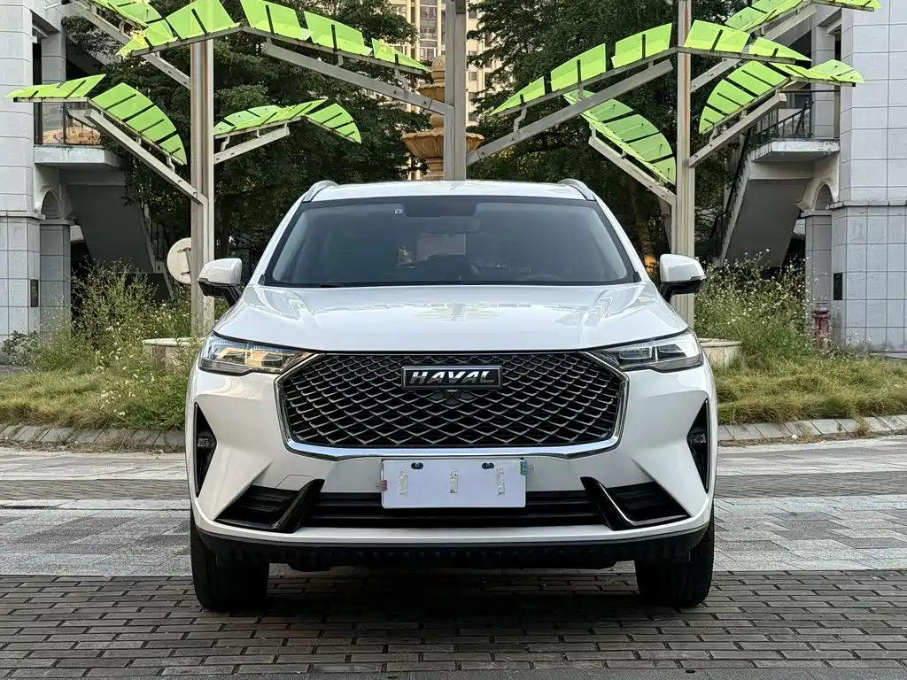 Haval H6 — миниатюра 2