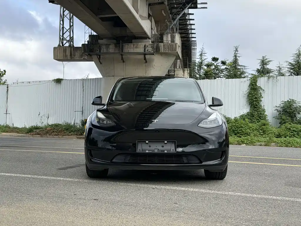 Tesla Model Y — миниатюра 2