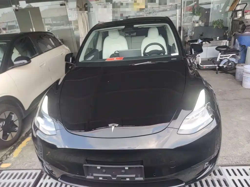 Tesla Model Y — миниатюра 3