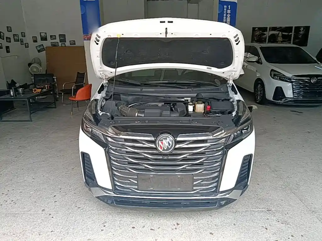 Buick GL8 — миниатюра 20