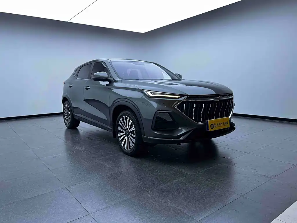 Oshan Oushang X5 — миниатюра 3