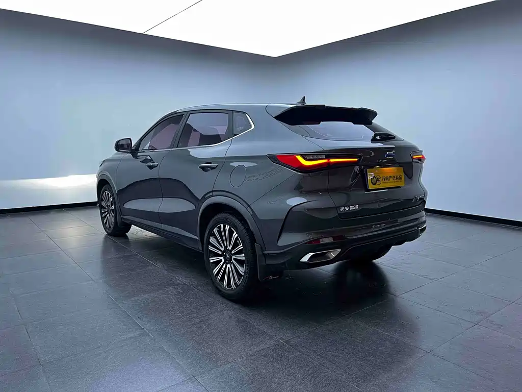 Oshan Oushang X5 — миниатюра 9