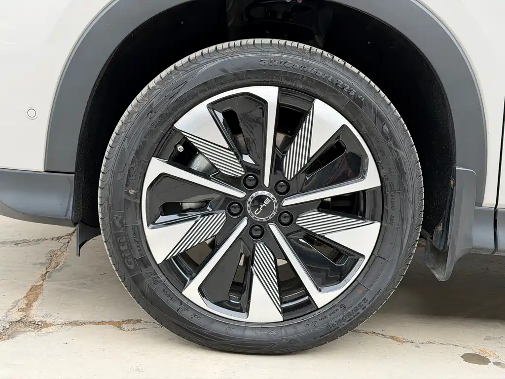 BYD SONGJIANG NEW ENERGY