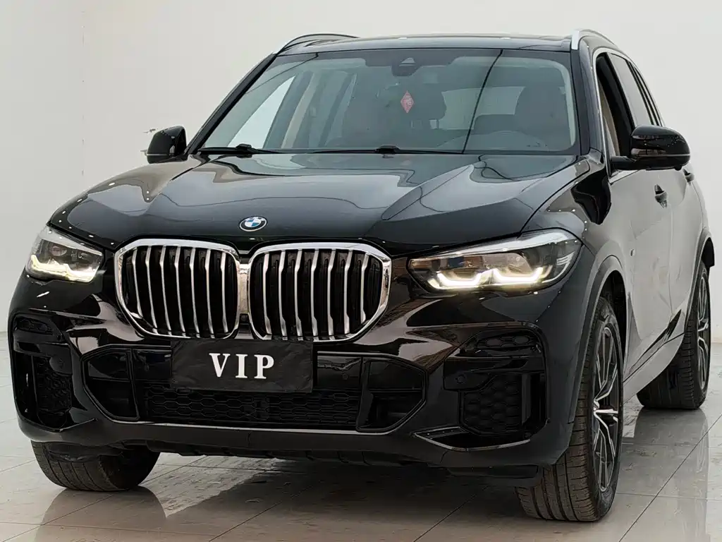 BMW X5 — миниатюра 2