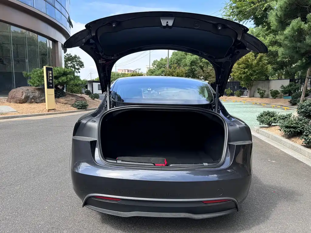Tesla Model 3 — миниатюра 13
